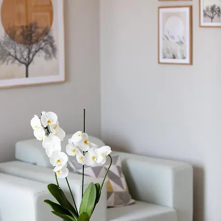 Plaka Modern Apartment